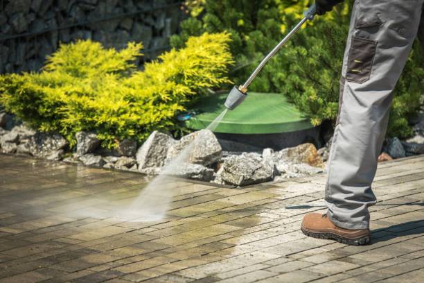 Best Solar Panel Cleaning  in Dover Base Housing, DE